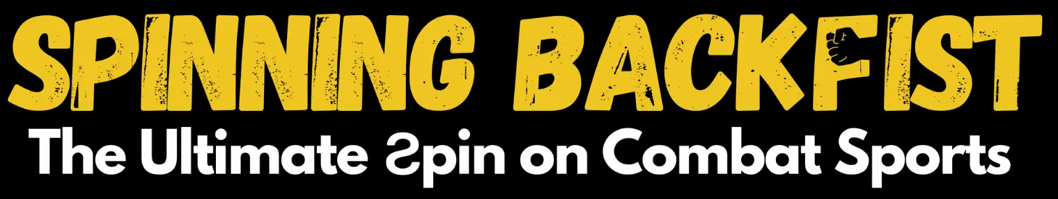spinningbackfist.com
